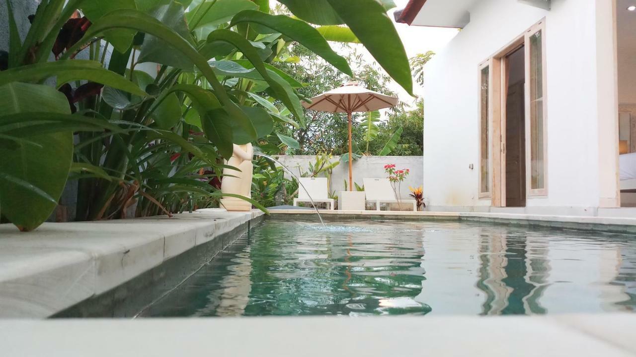 Villa Ummangur 2 Bedroom Private Villa Near Lovina Banjar  Экстерьер фото